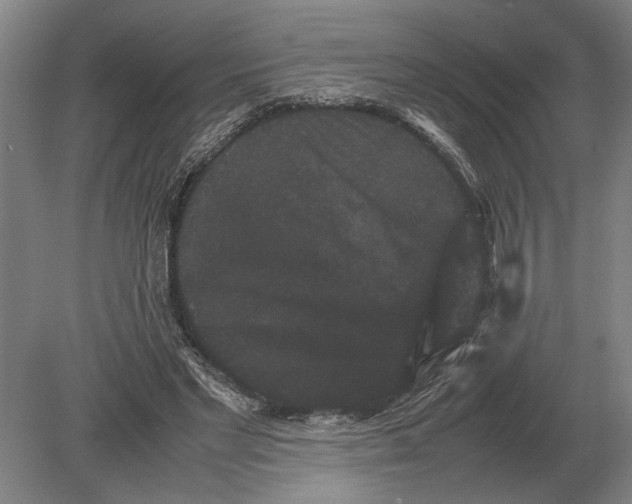 X0000078840493200612041843