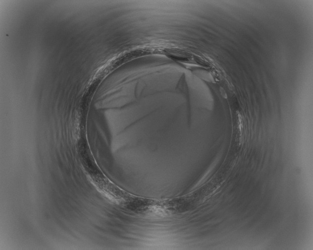 X0000078840496200612041843