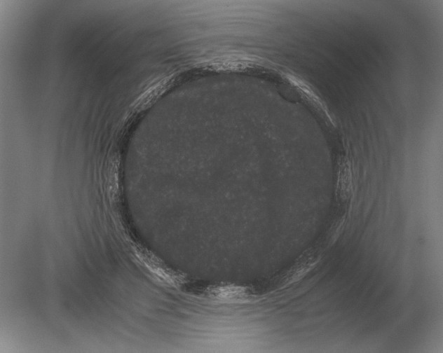 X0000078840501200612041843