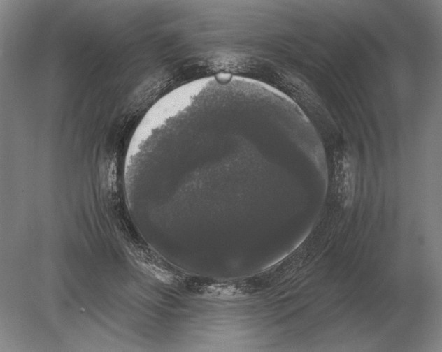 X0000078840502200612041843