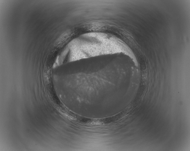 X0000078840503200612041843