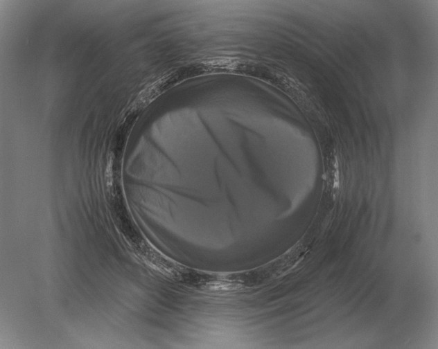 X0000078840504200612041843