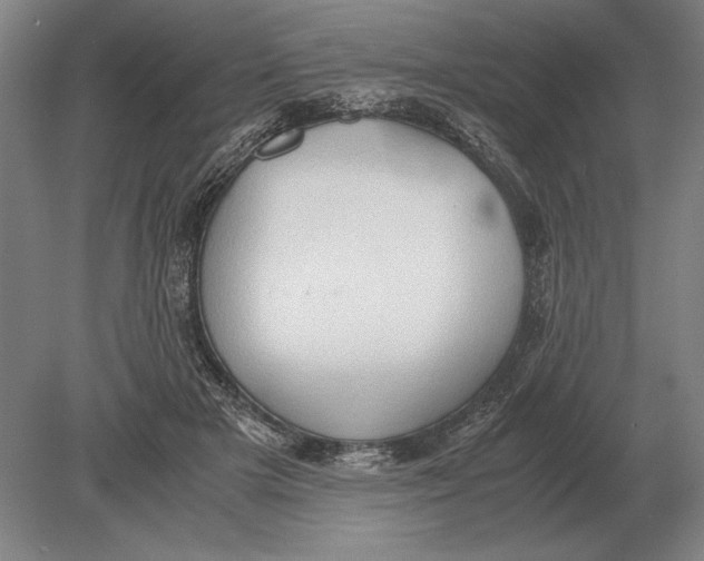 X0000078840505200612041843