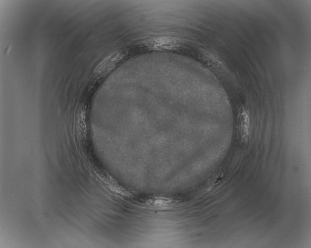 X0000078840506200612041843