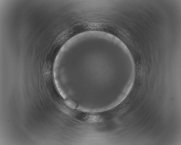 X0000078840507200612041843