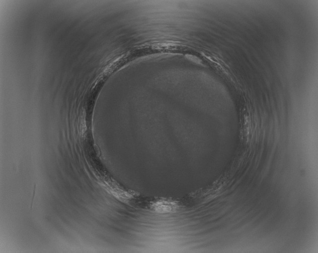 X0000078840508200612041843