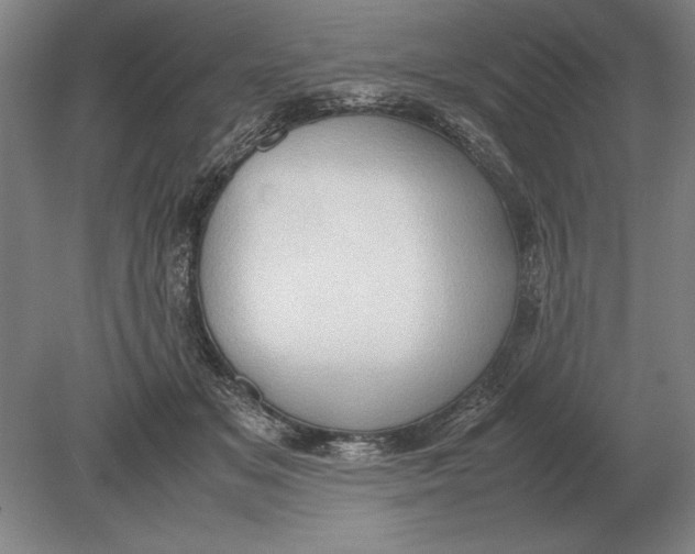 X0000078840509200612041843