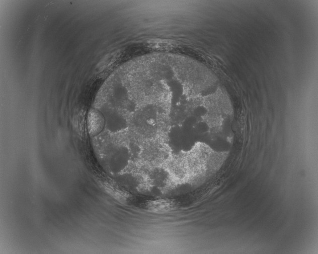 X0000078840511200612041843