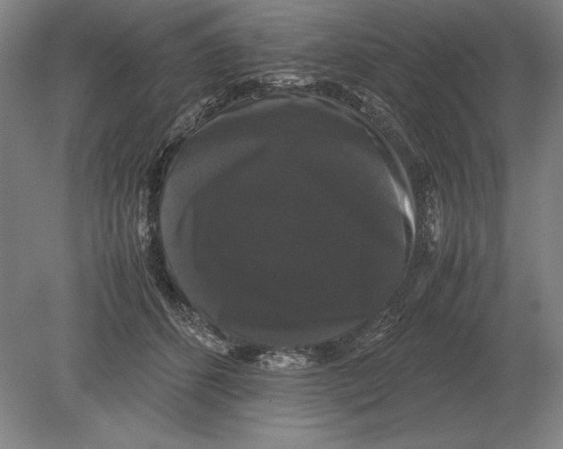 X0000078840512200612041843