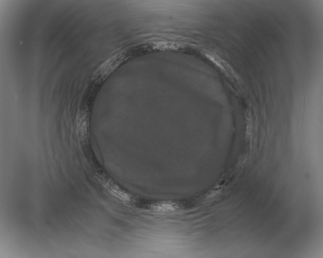 X0000078840513200612041843