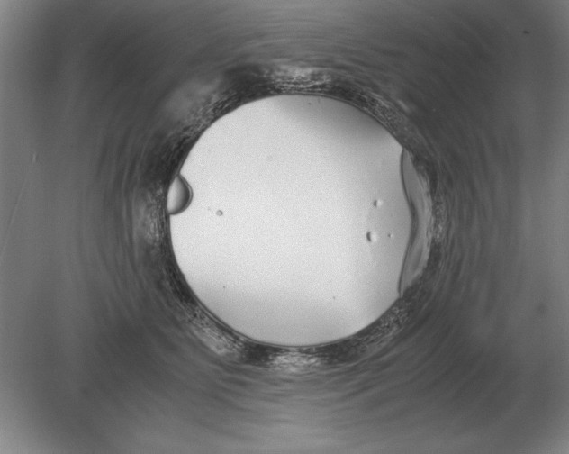 X0000078840515200612041843