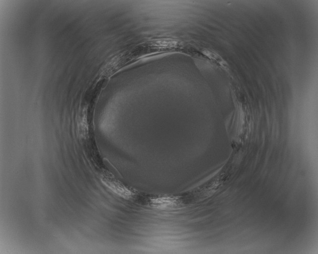 X0000078840516200612041843