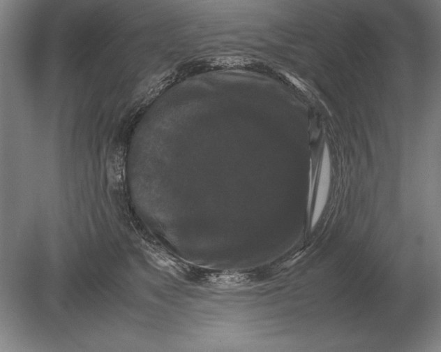 X0000078840517200612041843