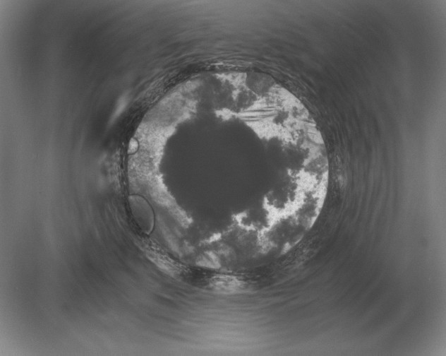 X0000078840519200612041843