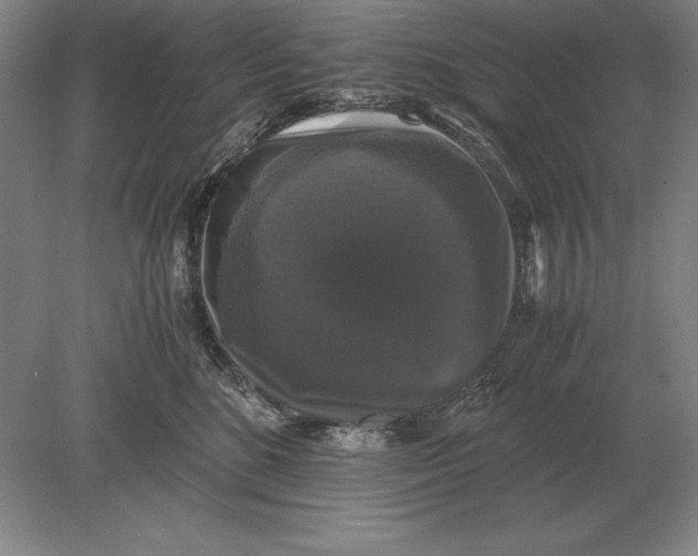 X0000078840520200612041843