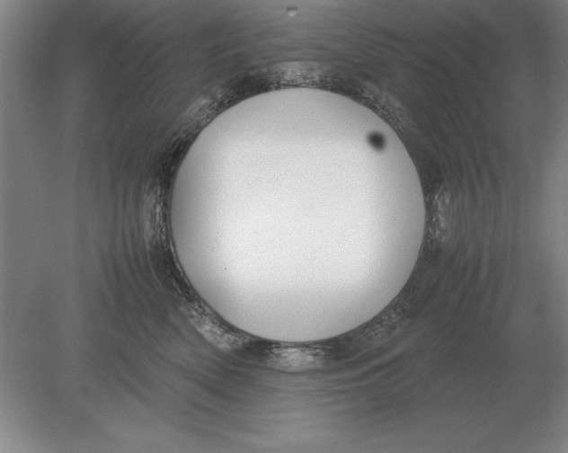 X0000078840522200612041843