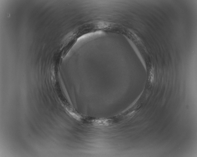 X0000078840524200612041843