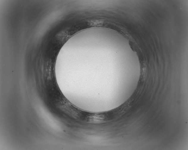 X0000078840525200612041843