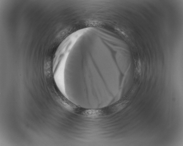 X0000078840526200612041842