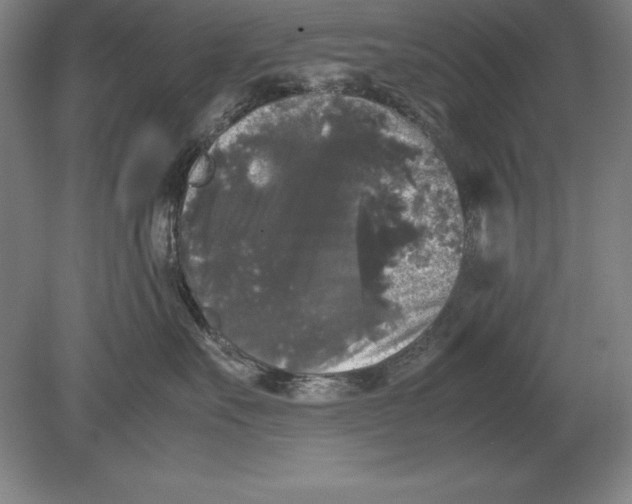 X0000078840527200612041842