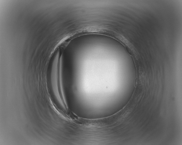 X0000078840530200612041842