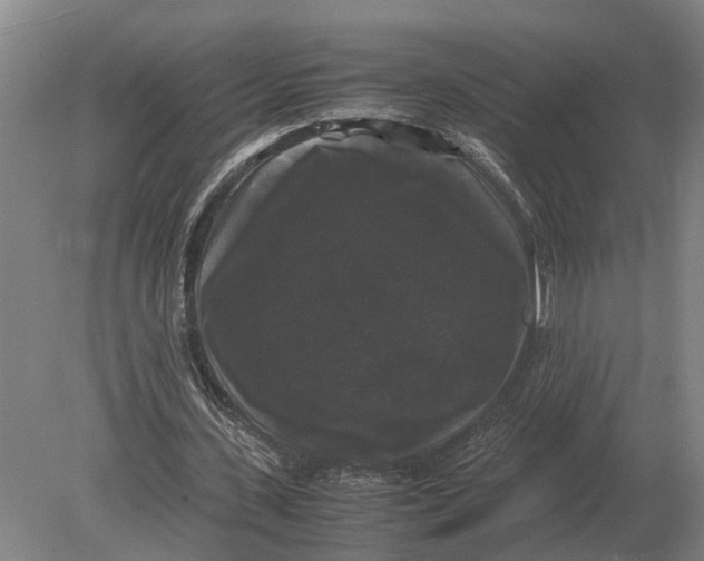 X0000078840531200612041842