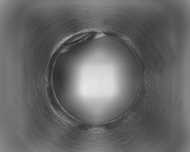 X0000078840536200612041842