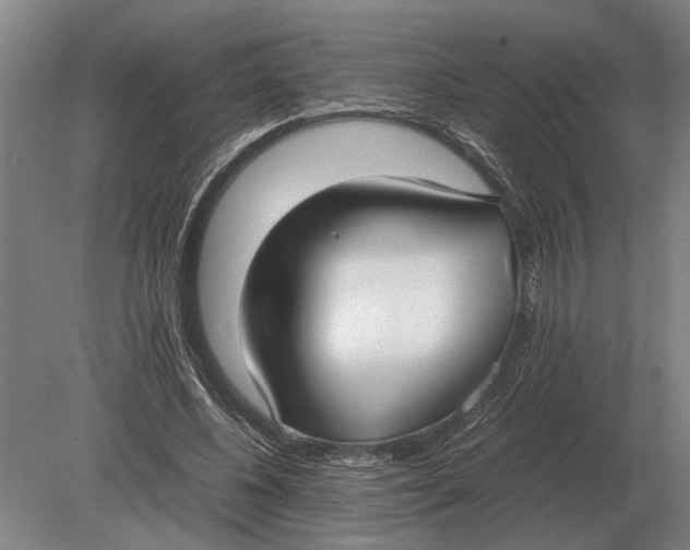 X0000078840540200612041842