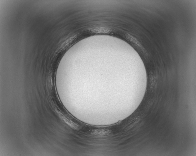 X0000078840541200612041842