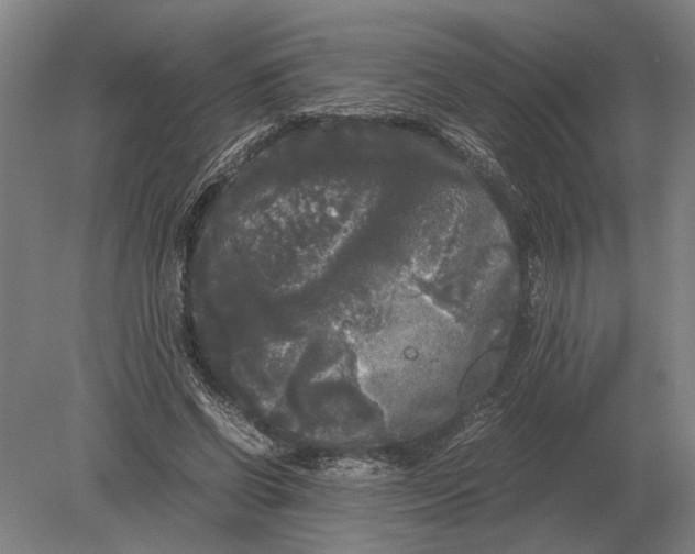 X0000078840542200612041842