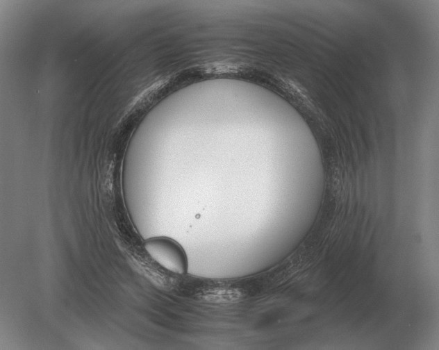 X0000078840543200612041842