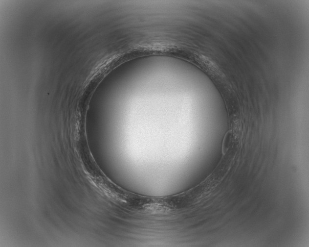 X0000078840544200612041842