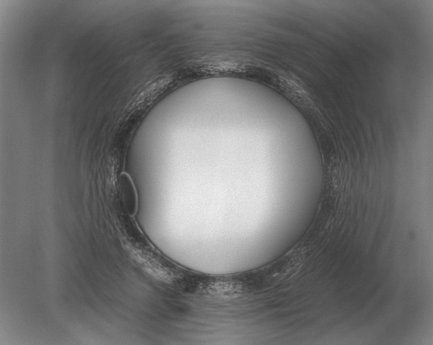 X0000078840546200612041842