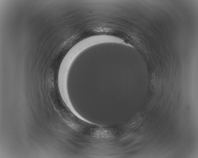 X0000078840547200612041842