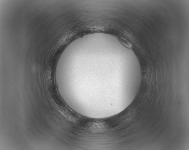 X0000078840548200612041842