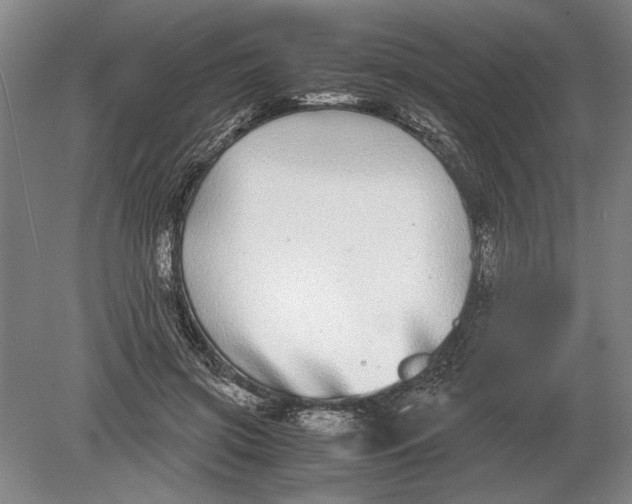 X0000078840549200612041842