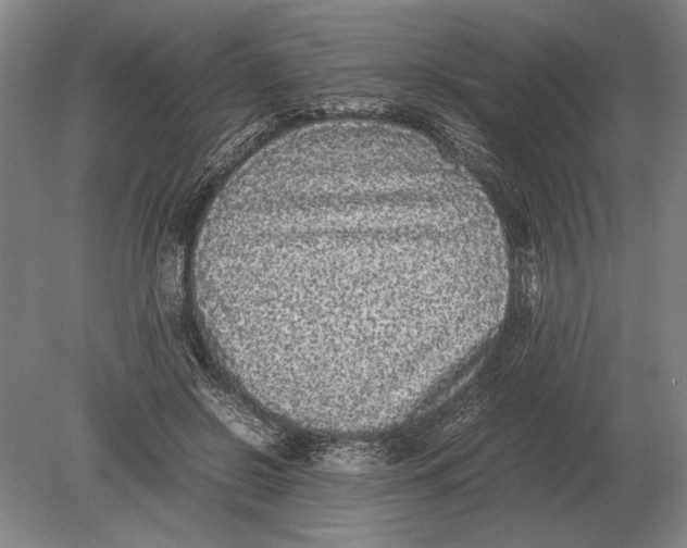 X0000078840550200612041842