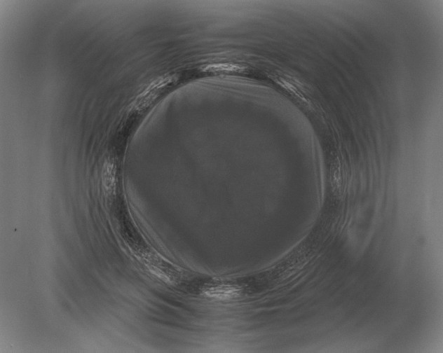 X0000078840551200612041842