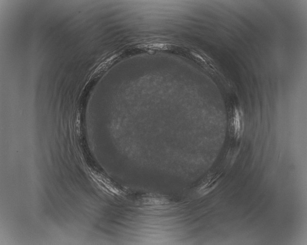 X0000078840552200612041842