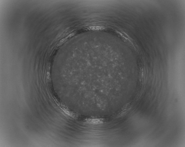 X0000078840553200612041842