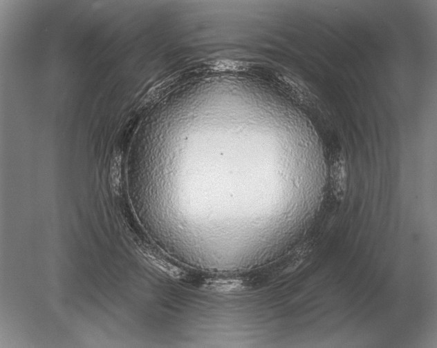 X0000078840554200612041842