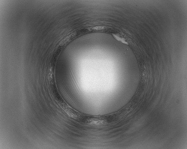 X0000078840555200612041842