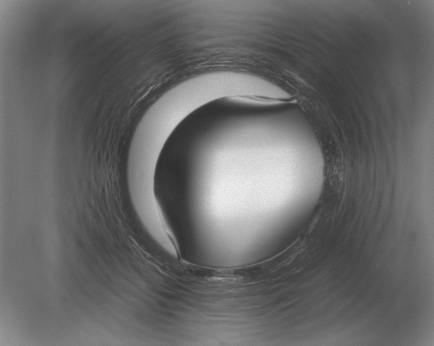 X0000078840556200612041842