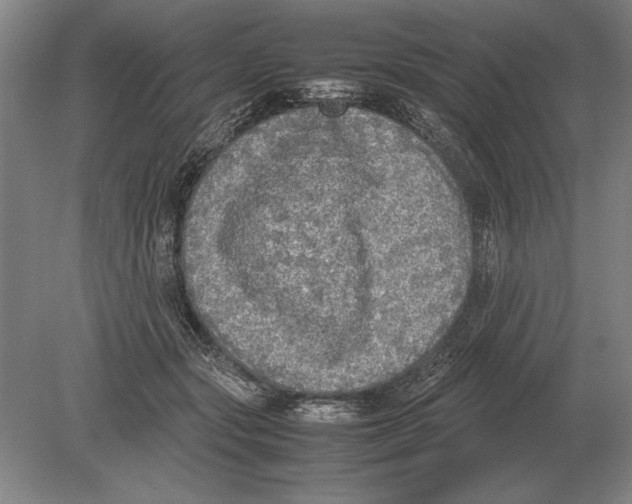 X0000078840557200612041842