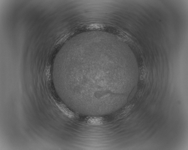 X0000078840560200612041842