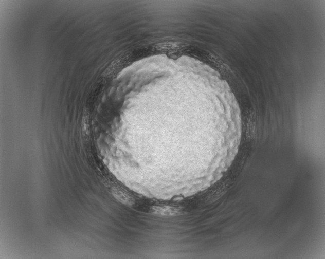 X0000078840561200612041842