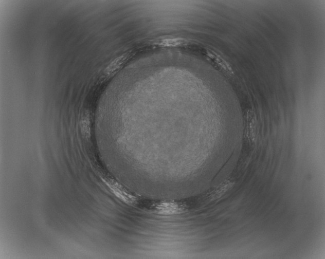 X0000078840562200612041842