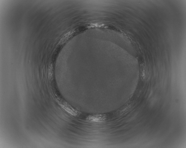 X0000078840563200612041842