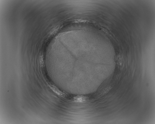 X0000078840564200612041842