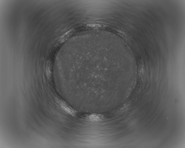 X0000078840566200612041842